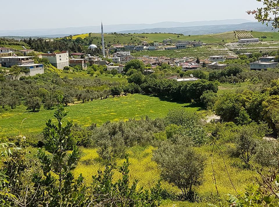 Altınözü Kamberli Köyü Resimleri 5