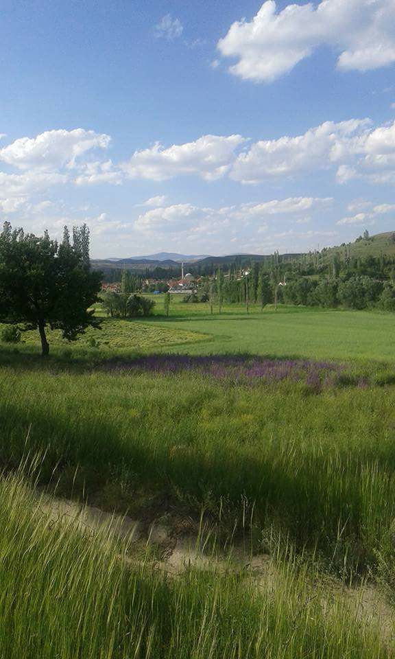 Gemerek Burhan Köyü Resimleri 1