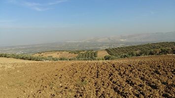 Altınözü Kansu Köyü Resimleri 3