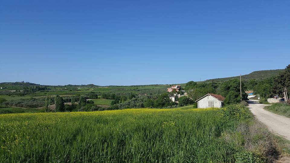 Altınözü Karbeyaz Köyü Resimleri 5