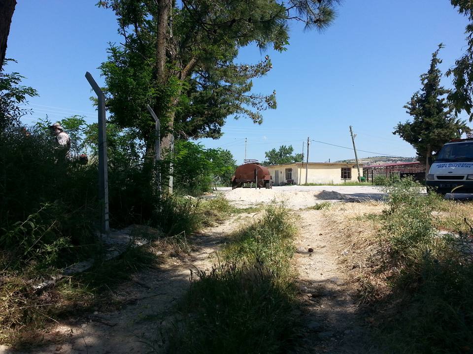 Altınözü Kolcular Köyü Resimleri 2