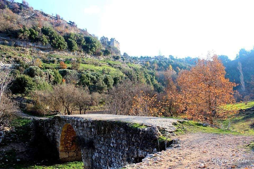 Altınözü Kozkalesi Köyü Resimleri 1