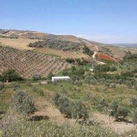 Altınözü Sarıbük Köyü Resimleri 12