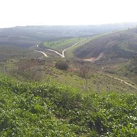 Altınözü Sarıbük Köyü Resimleri 2