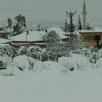 Altınözü Sarıbük Köyü Resimleri 4