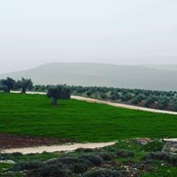 Altınözü Sarıbük Köyü Resimleri 5