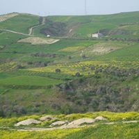 Altınözü Tepehan Köyü Resimleri 5