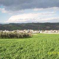 Altınözü Tepehan Köyü Resimleri 7