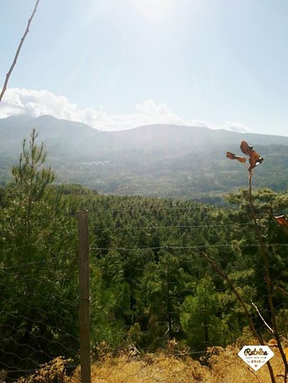 Dalaman Narlı Köyü Resimleri 1