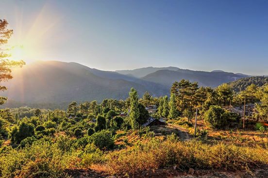 Dalaman Narlı Köyü Resimleri 3