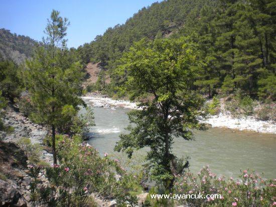 Dalaman Narlı Köyü Resimleri 8