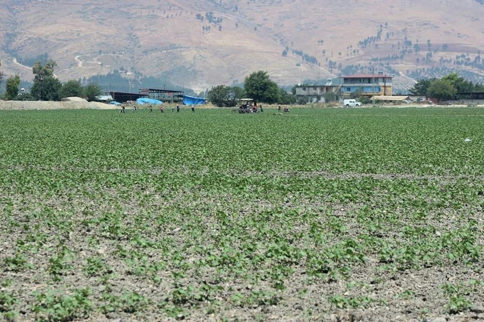 Antakya Aşağıoba Köyü Resimleri 2