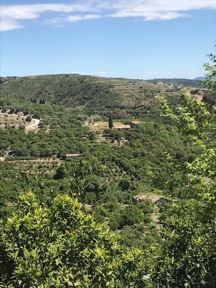 Antakya Barbaros Köyü Resimleri 2