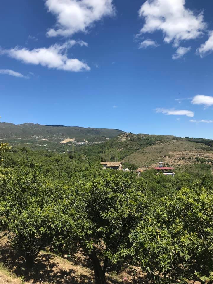 Antakya Barbaros Köyü Resimleri 3