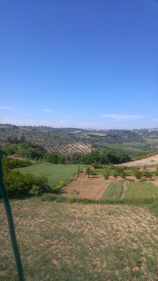 Antakya Bitiren Köyü Resimleri 1