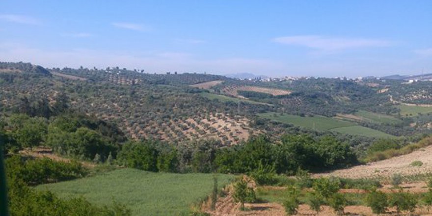 Antakya Bitiren Köyü Resimleri