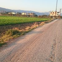 Antakya Büyükdalyan Köyü Resimleri 9