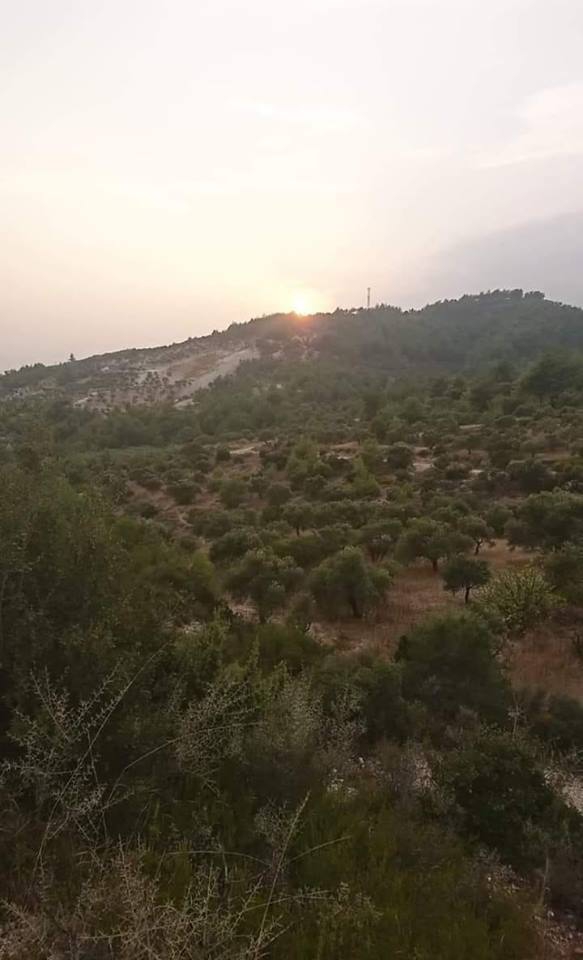 Antakya Dikmece Köyü Resimleri 1