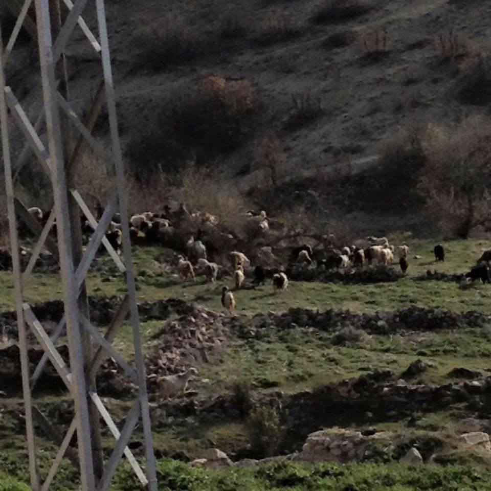 Elazığ Aydınlar Köyü Resimleri 4