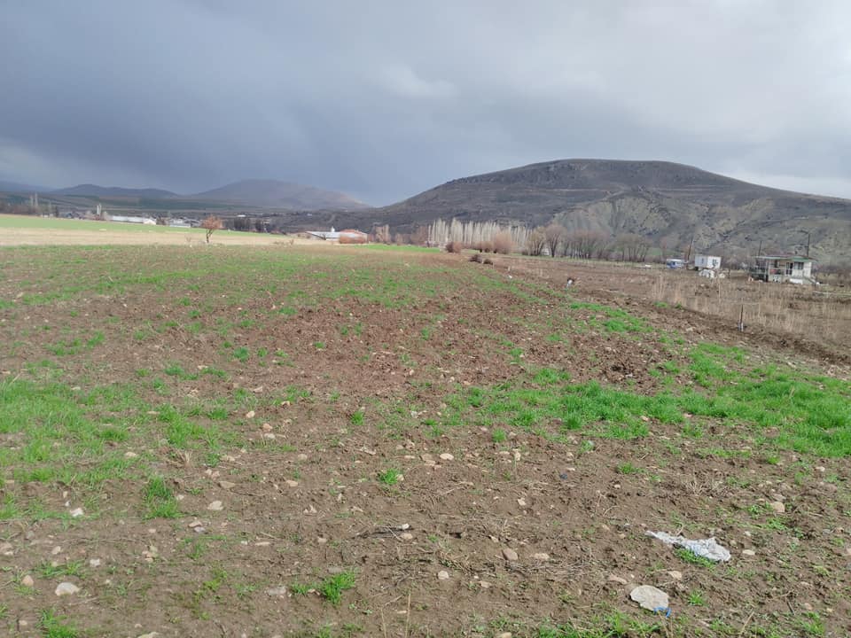 Elazığ Bağlarca Köyü Resimleri 1