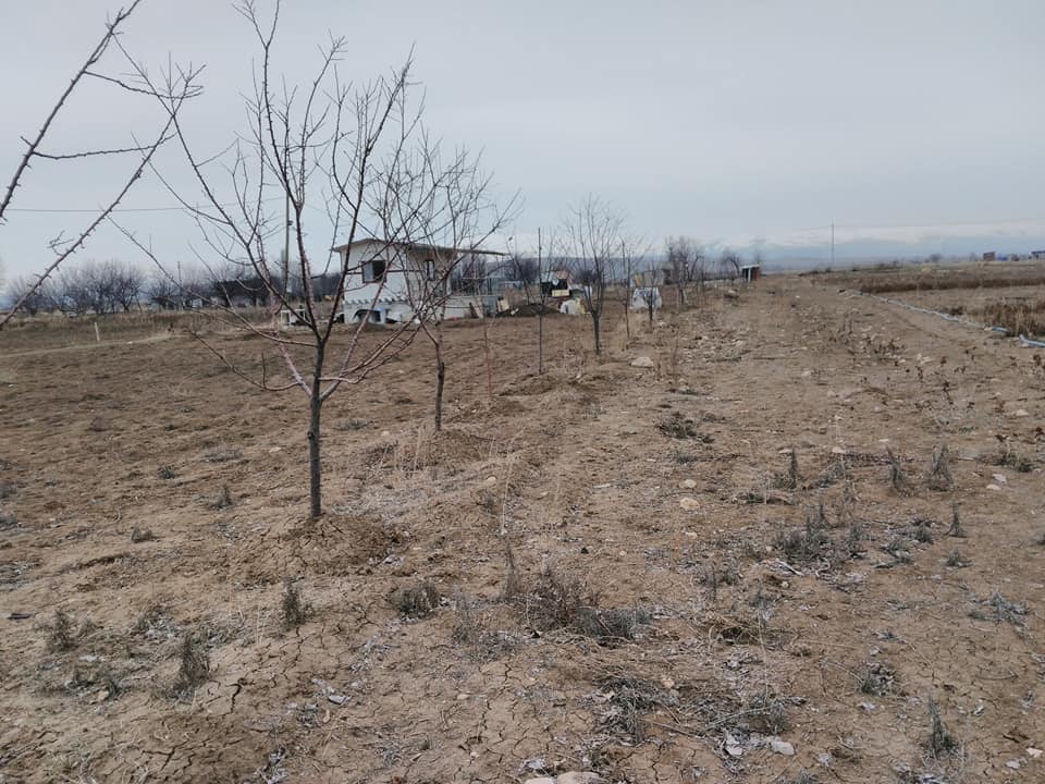 Elazığ Bağlarca Köyü Resimleri 3