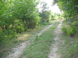 Acıpayam Alcı Köyü Resimleri 3