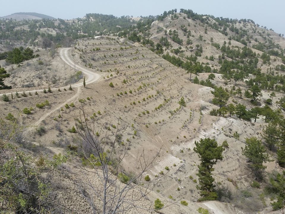 Acıpayam Aliveren Köyü Resimleri 4