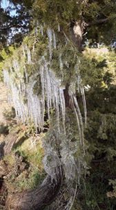 Acıpayam Aliveren Köyü Resimleri 6