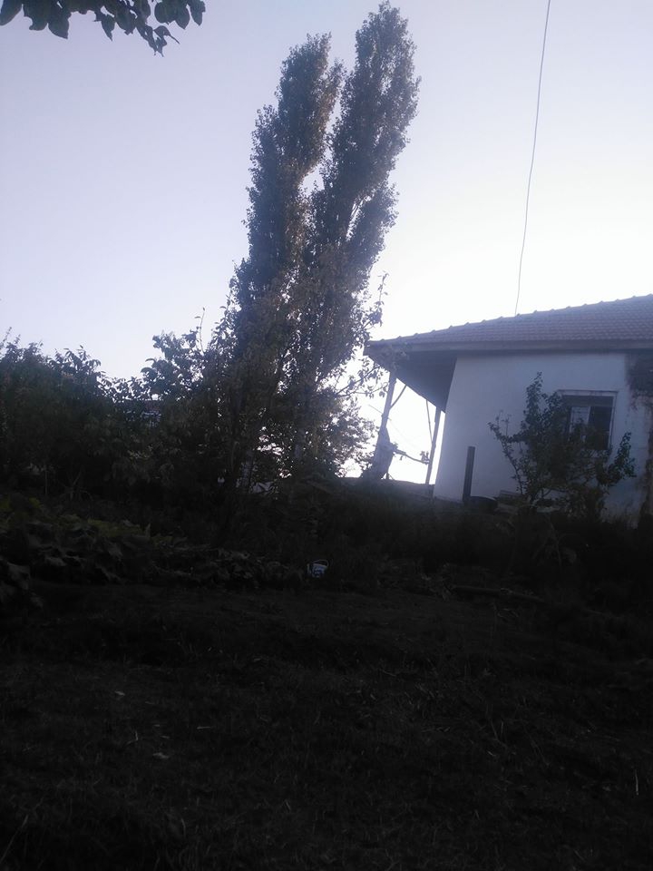Gemerek Çiçekoğlu Köyü Resimleri 5