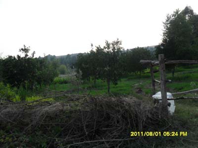 Adana Kozan Yeniköy Resimleri 16