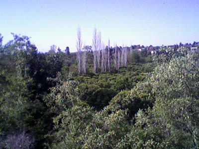 Adana Kozan Yeniköy Resimleri 17