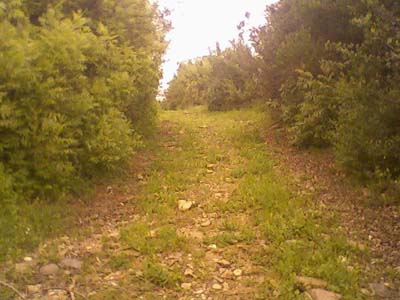 Adana Kozan Yeniköy Resimleri 18