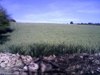 Adana Kozan Yeniköy Resimleri 19