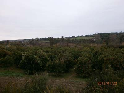 Adana Kozan Yeniköy Resimleri 23