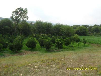 Adana Kozan Yeniköy Resimleri 29