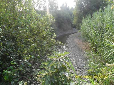 Adana Kozan Yeniköy Resimleri 30