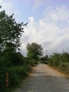 Adana Kozan Yeniköy Resimleri 4