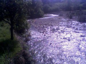 Adana Kozan Yeniköy Resimleri