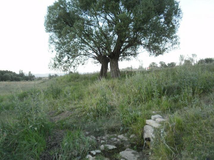 Çayırlı Çamurdere Köyü Resimleri 12