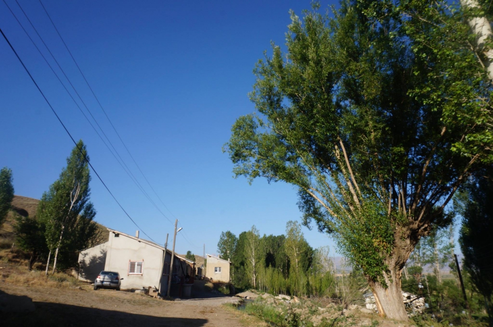 Çayırlı Çaykent Köyü Resimleri 11