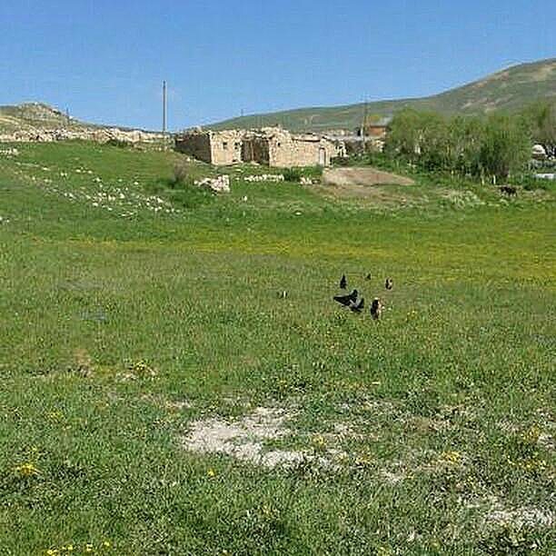 Çayırlı Çilhoroz Köyü Resimleri 5