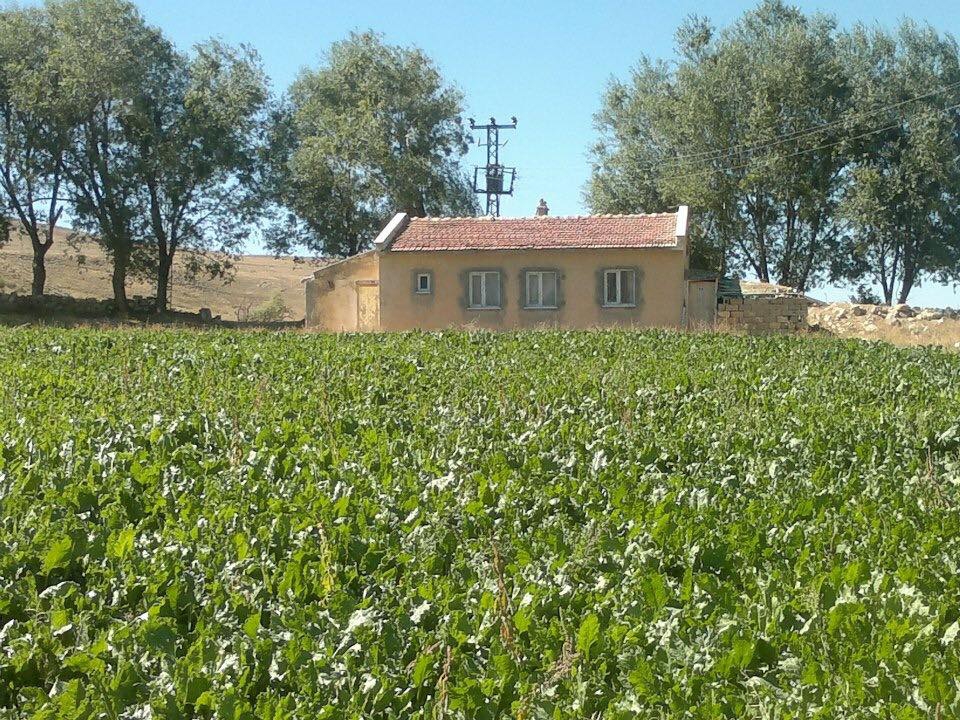 Çayırlı Göller Köyü Resimleri 10