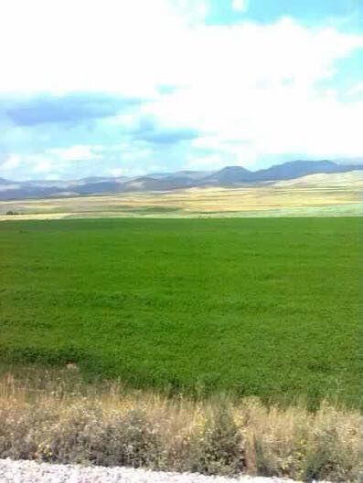 Çayırlı Göller Köyü Resimleri 7