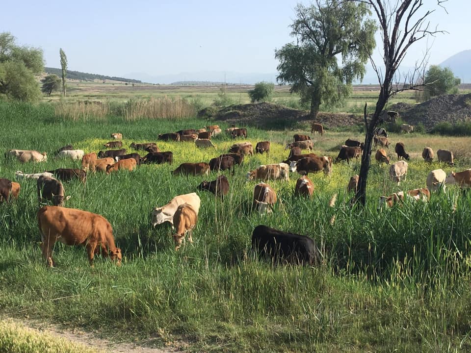 Acıpayam Dedebağı Köyü Resimleri 4