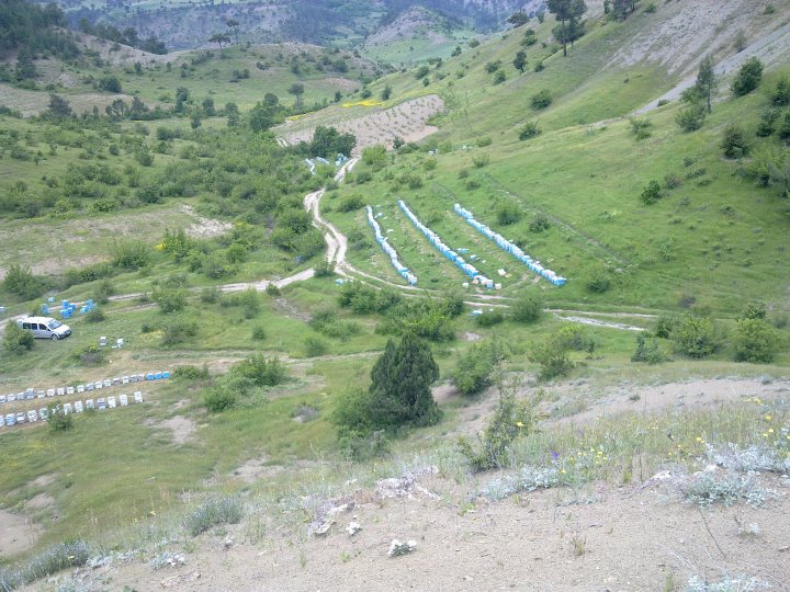 Göksun Yeni Köyü Resimleri 10