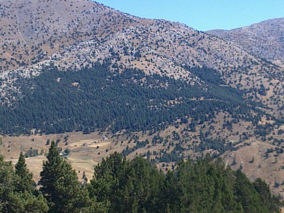 Göksun Yeni Köyü Resimleri 8