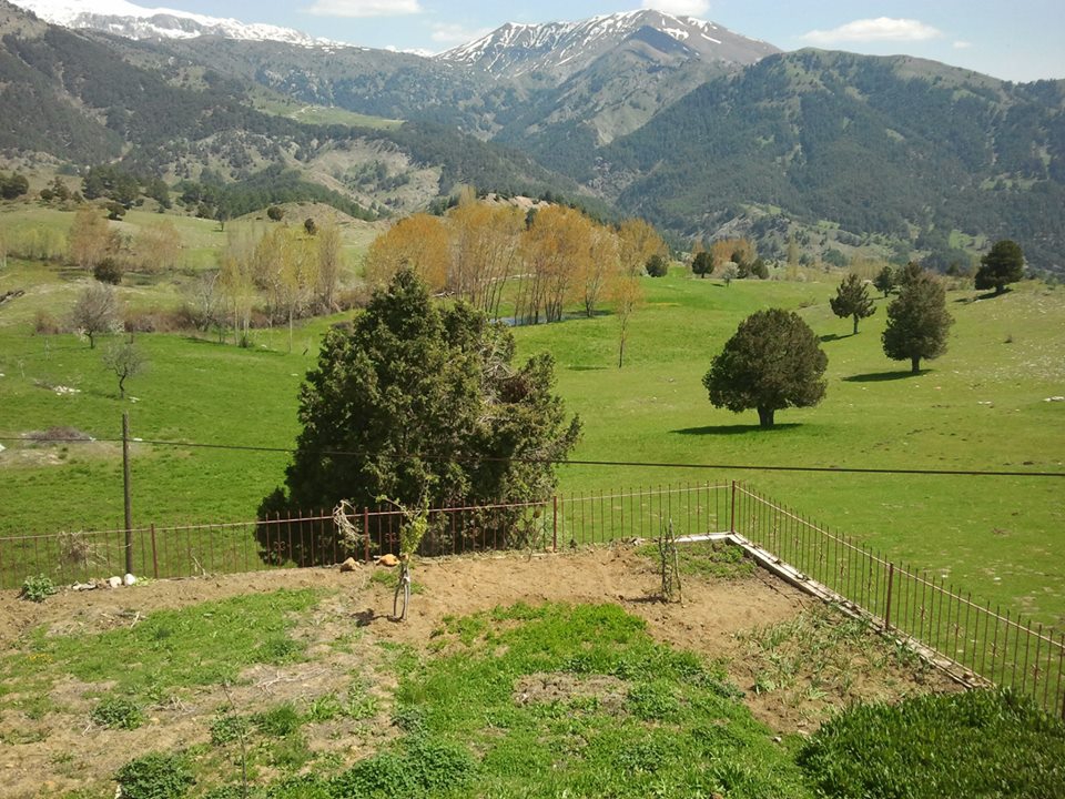 Göksun Yeşilköy Köyü Resimleri 4