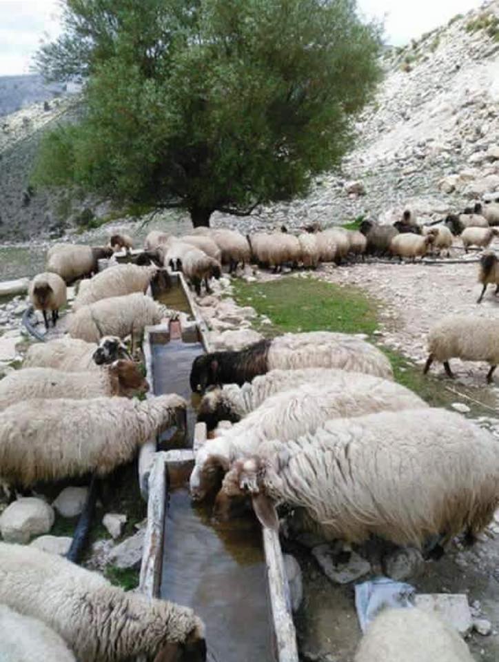 Göksun Yeşilköy Köyü Resimleri 8