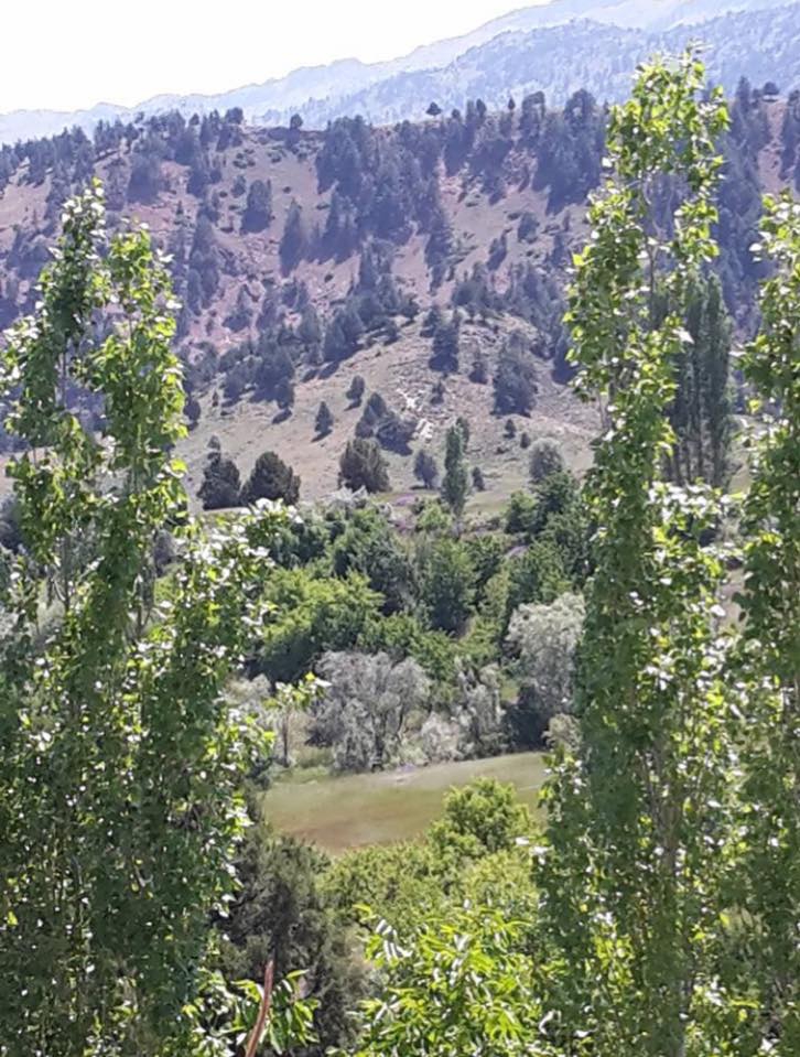 Göksun Yeşilköy Köyü Resimleri 9