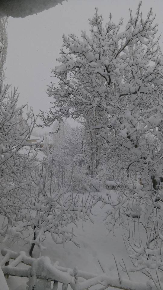 Göksun Yiricek Köyü Resimleri 10